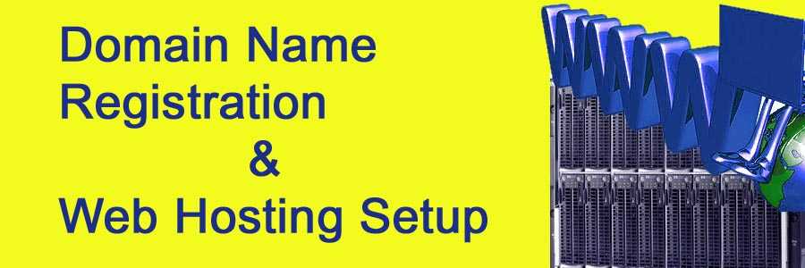 Domain Name Registration & Web Hosting Setup