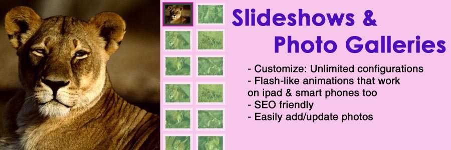 Photo Slideshows & Photo Galleries